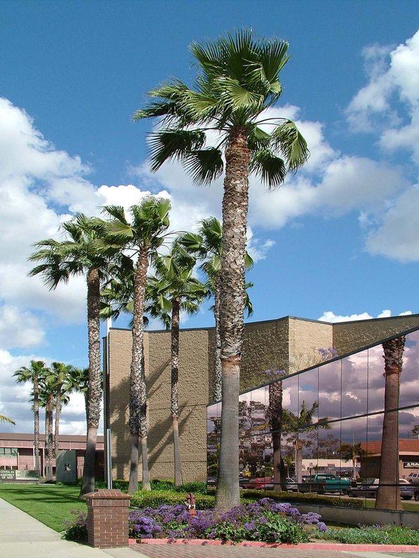 Park Inn - Covina, CA