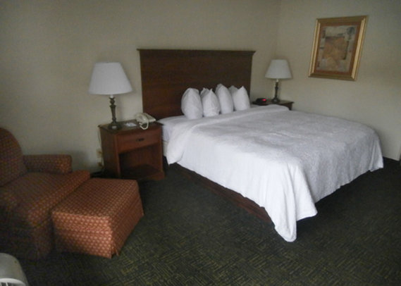 Quality Inn - Ocala, FL