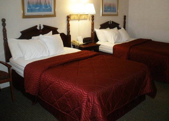 Comfort Inn Bowling Green - Bowling Green, KY