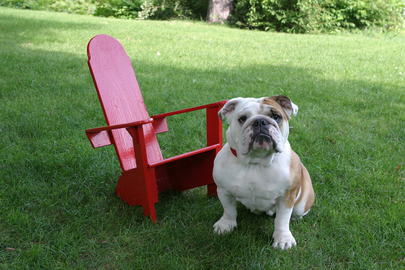 Basin Harbor Club - Vergennes, VT