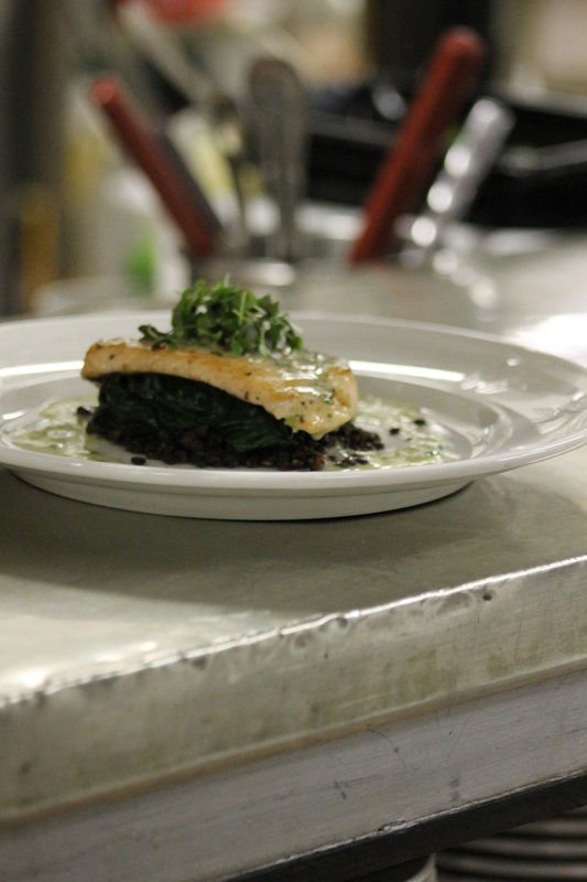 Basin Harbor Club - Vergennes, VT