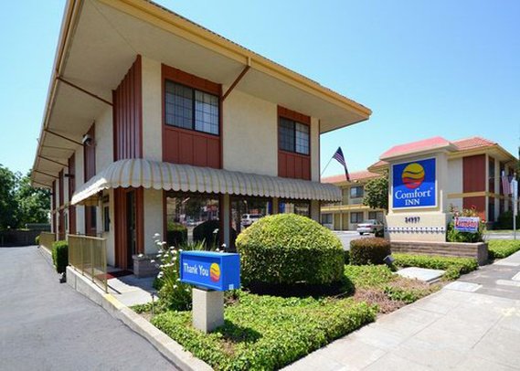 Comfort Inn