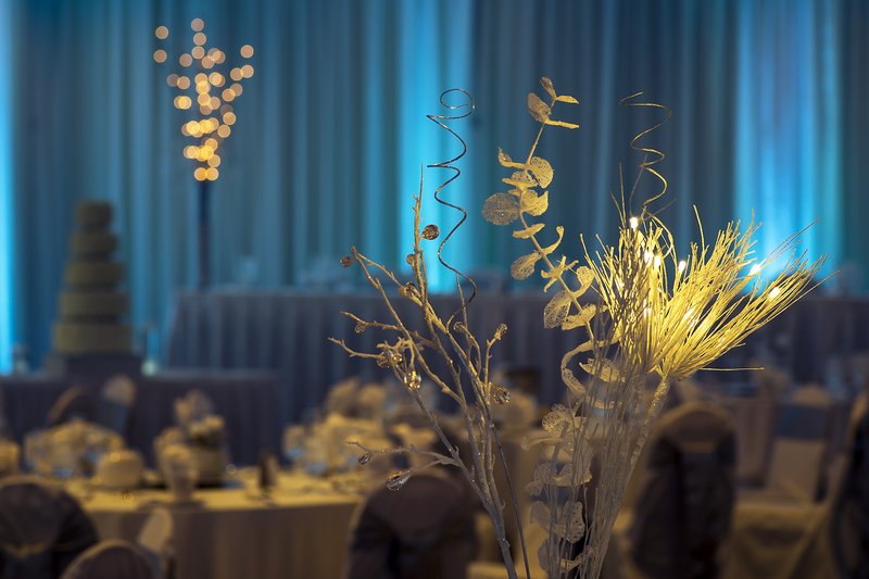 Park Plaza - Minneapolis, MN