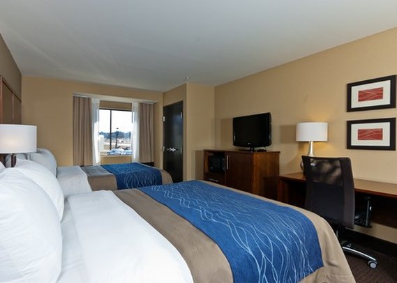 Comfort Inn - Tupelo, MS