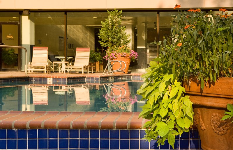 Marriott-Atlanta Gwinnett Pl - Duluth, GA