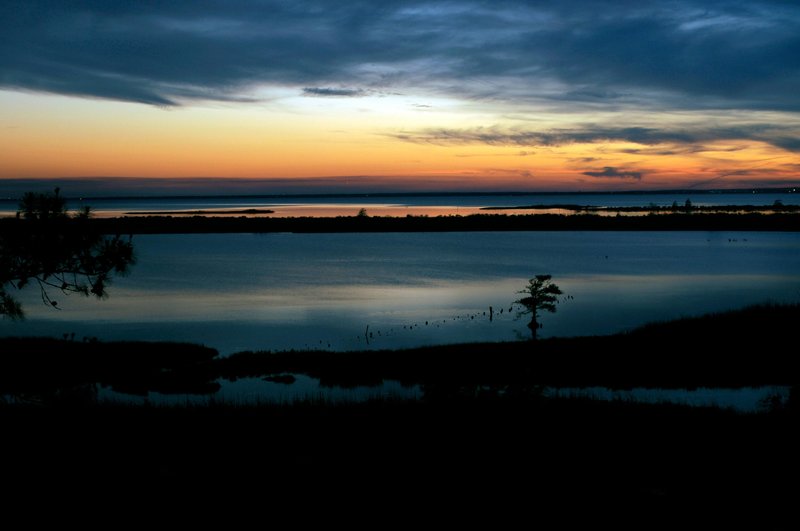 Hampton Inn Mobile-East Bay/Daphne - Daphne, AL