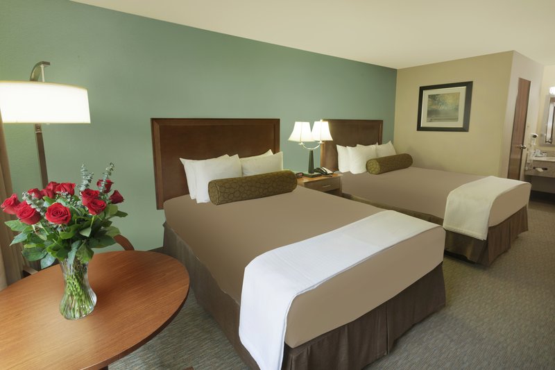 Best Western Plus - Schertz, TX