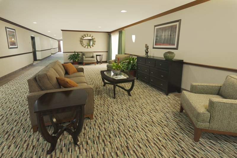 Best Western Plus - Schertz, TX