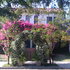 Villa Delle Stelle