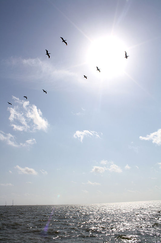 Holiday Inn KEMAH (NEAR BOARDWALK) - Kemah, TX