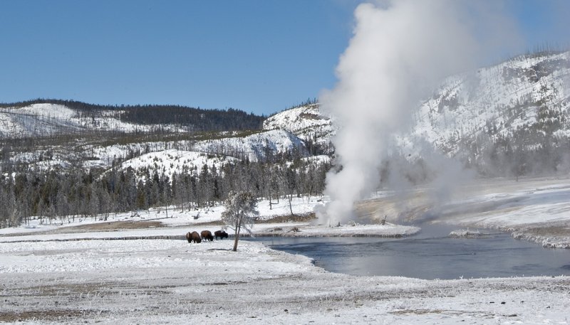 West Yellowstone Conference Hotel - West Yellowstone, MT