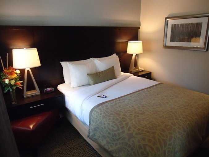 Staybridge Suites-Herndon-Dlls - Herndon, VA