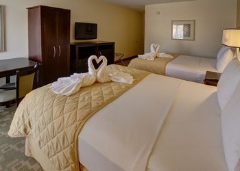 Clarion Inn & Suites at International Dr - Room