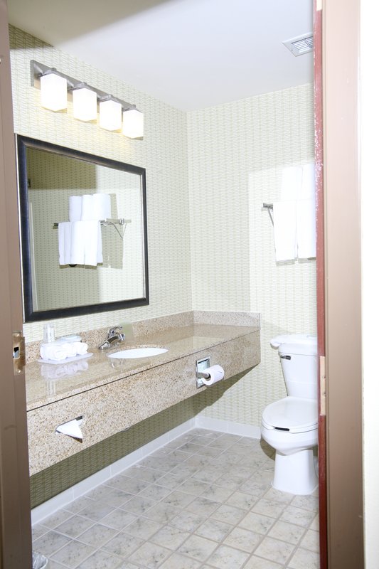 Holiday Inn Express & Suites ROSEVILLE - Harper Woods, MI