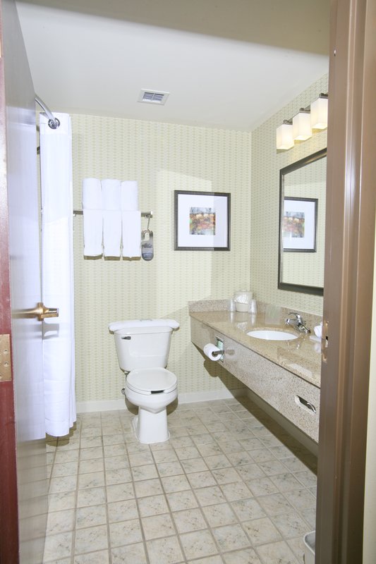 Holiday Inn Express & Suites ROSEVILLE - Harper Woods, MI