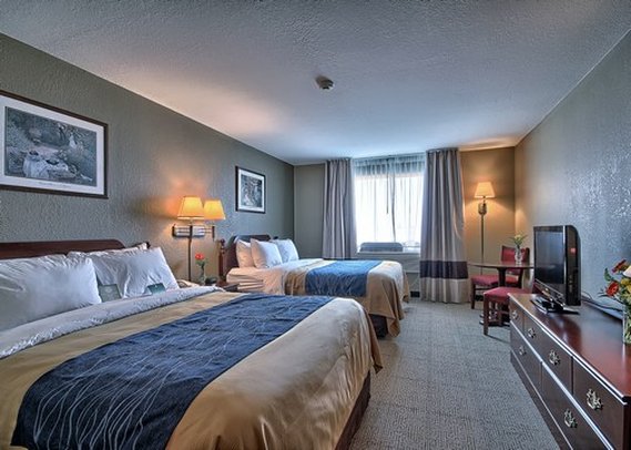 Comfort Inn & Suites - Fremont, OH