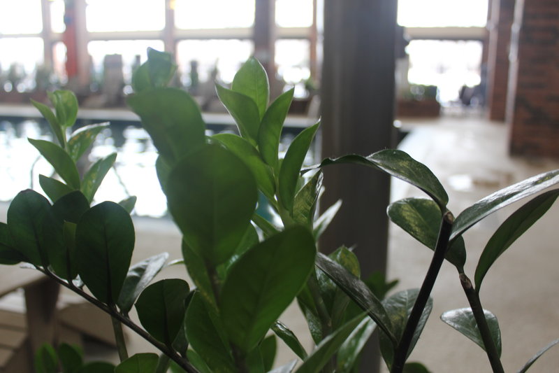 Holiday Inn-Kalamazoo - Kalamazoo, MI