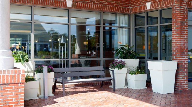 Comfort Suites-Magnolia Greens - Leland, NC