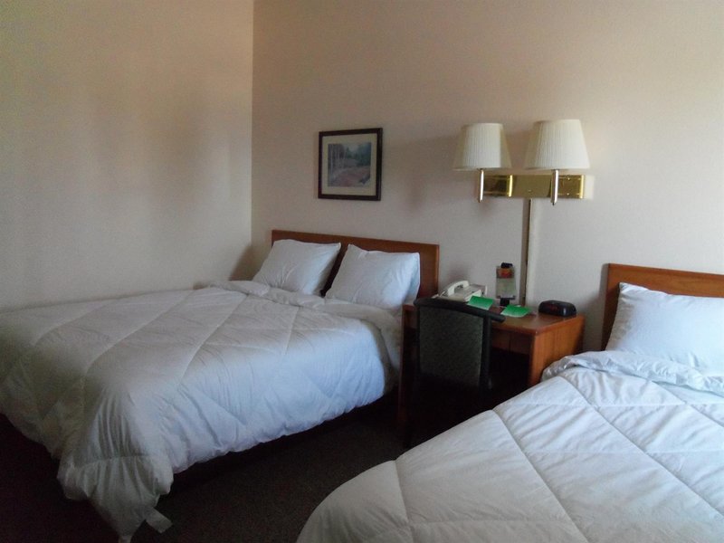 Maxfield's Inn - Edmore, MI