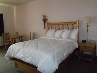 Maxfield's Inn - Edmore, MI