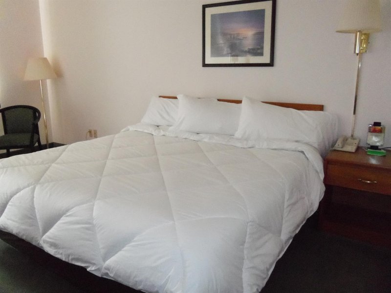 Maxfield's Inn - Edmore, MI