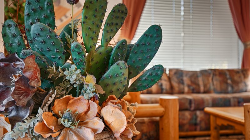 Best Western - Queen Creek, AZ