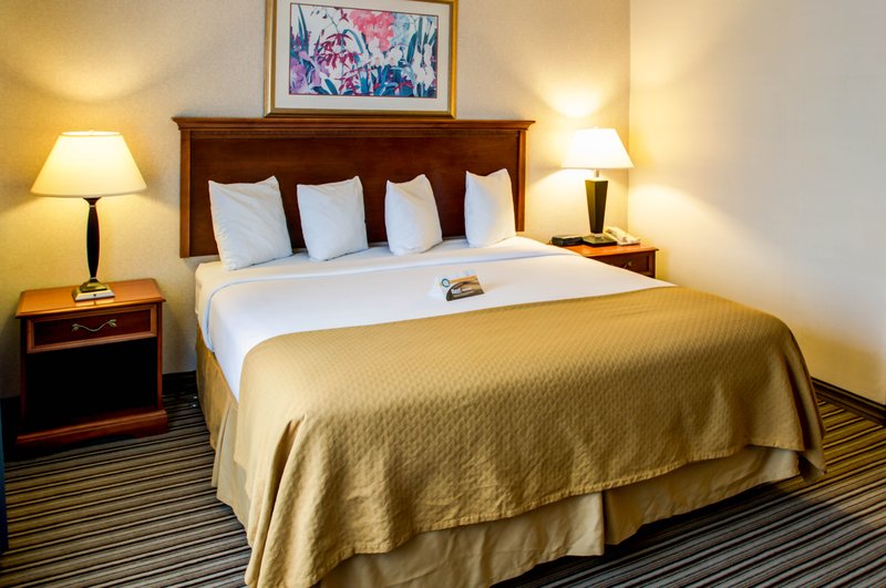 Quality Inn - Grants, NM