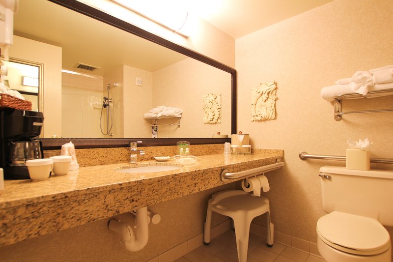 Holiday Inn MINNEAPOLIS AIRPORT SE - EAGAN - Saint Paul, MN