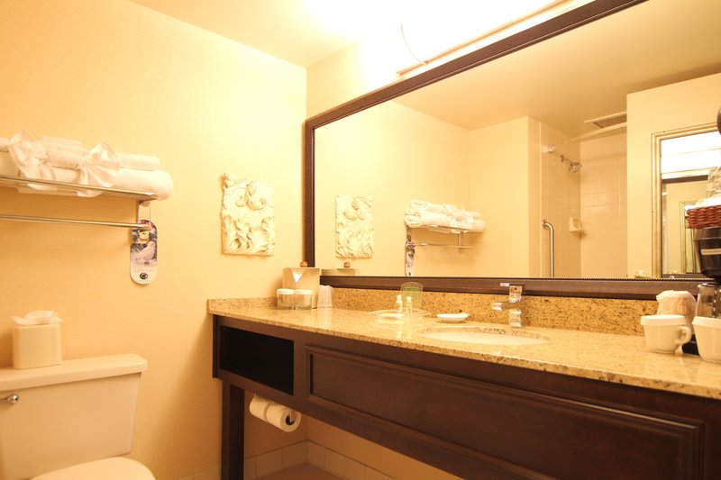 Holiday Inn MINNEAPOLIS AIRPORT SE - EAGAN - Saint Paul, MN