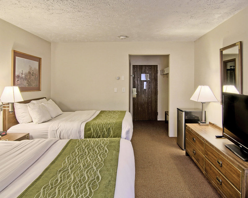 Comfort Inn - Petoskey, MI