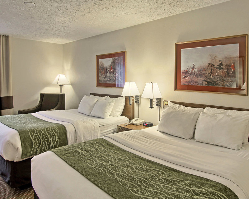 Comfort Inn - Petoskey, MI