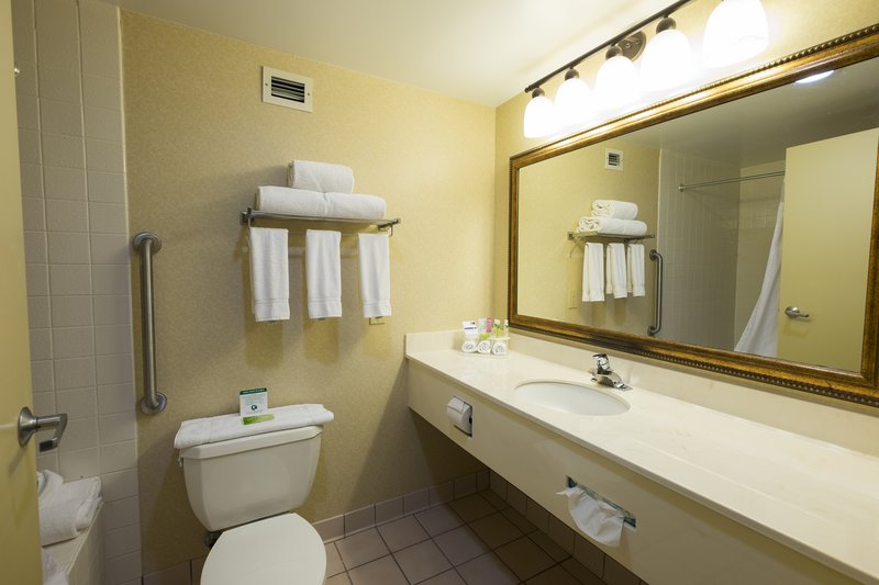 Holiday Inn Express & Suites WAYNESBORO-ROUTE 340 - Waynesboro, VA