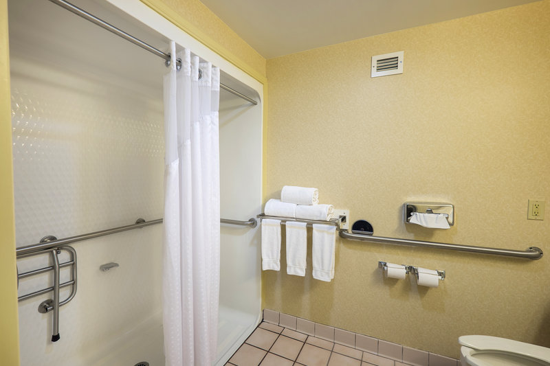 Holiday Inn Express & Suites WAYNESBORO-ROUTE 340 - Waynesboro, VA