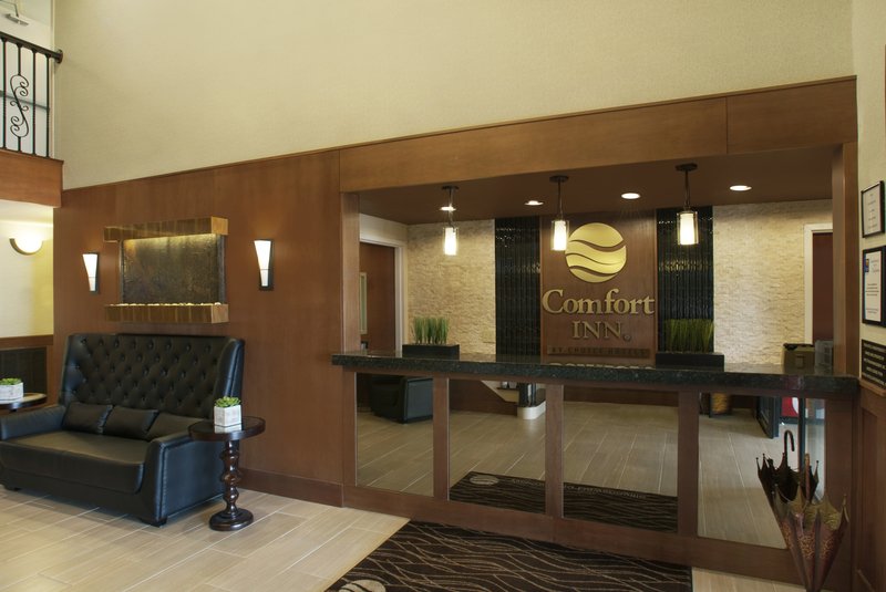 Comfort Inn - Dawsonville, GA