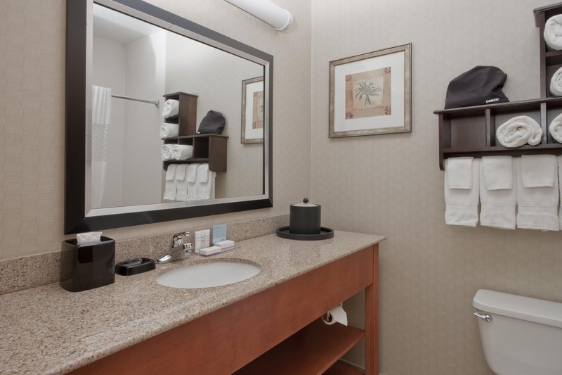 Hampton Inn-Jackson - Jackson, MI