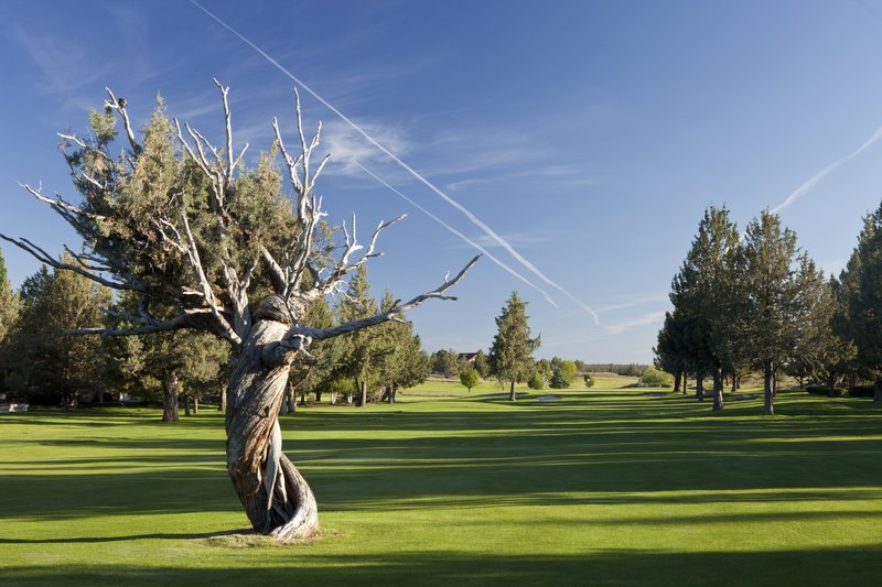 Eagle Crest Golf - Redmond, OR