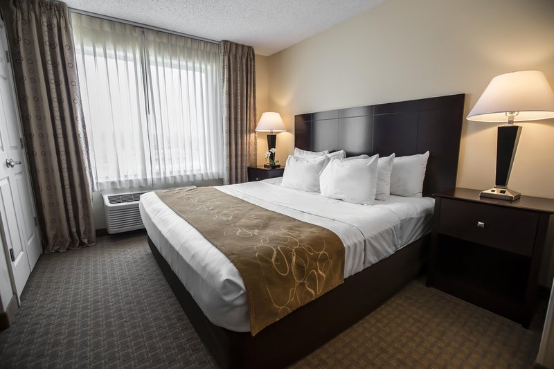 Comfort Suites University Area - South Bend, IN