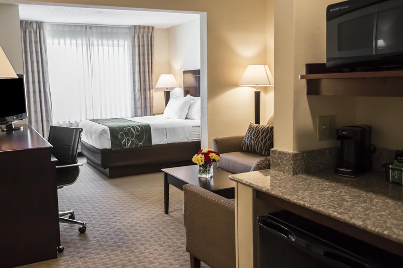 Comfort Suites University Area - South Bend, IN