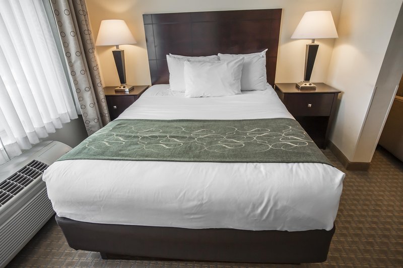 Comfort Suites University Area - South Bend, IN