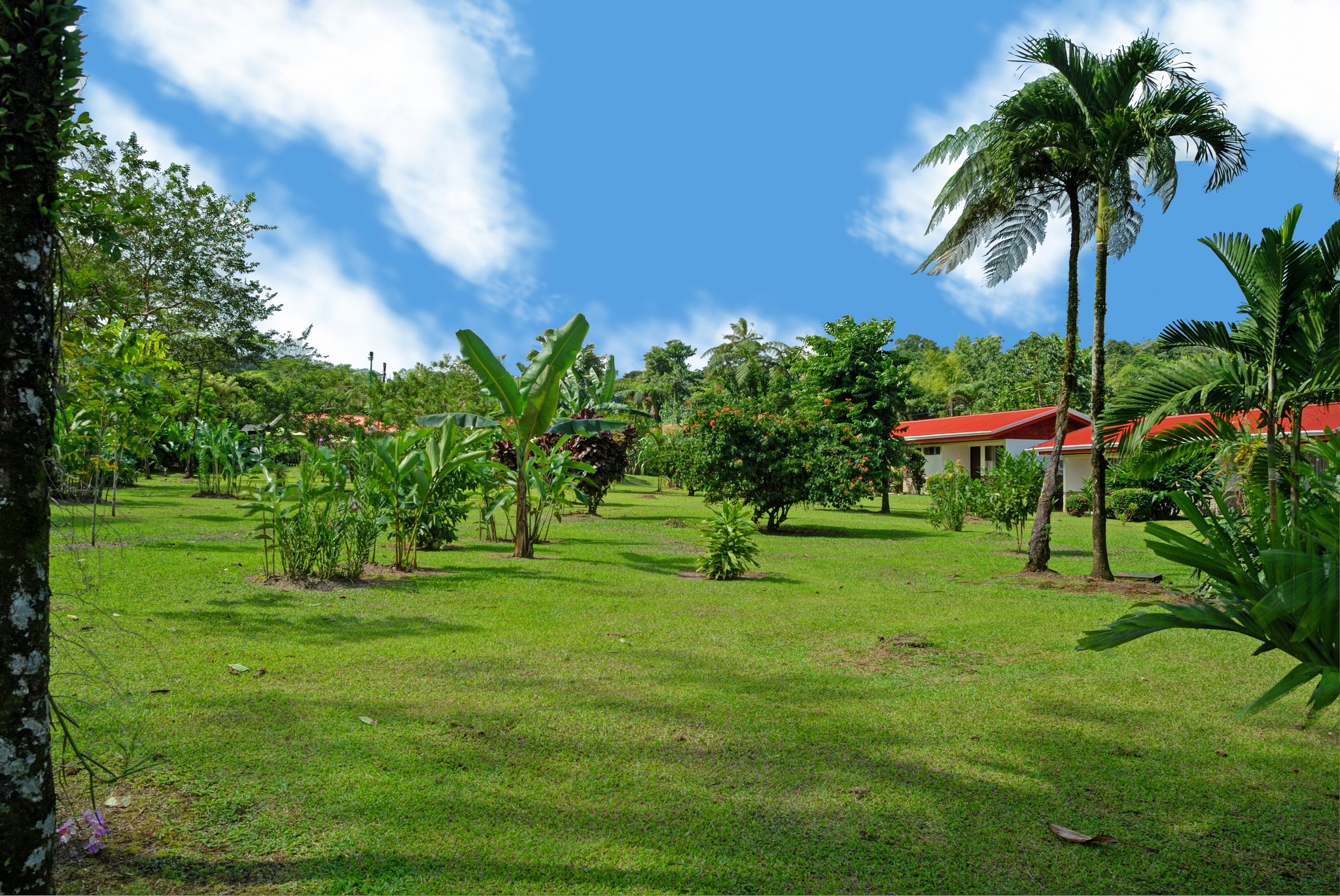 Volcano Lodge And Springs