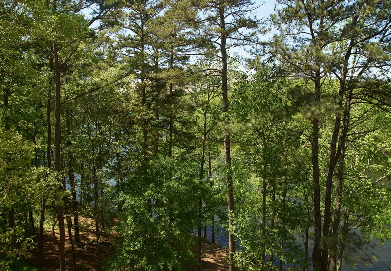 Atlanta Evergreen Marriott Conference Resort - Stone Mountain, GA