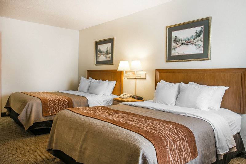 Comfort Inn - Saint George, SC