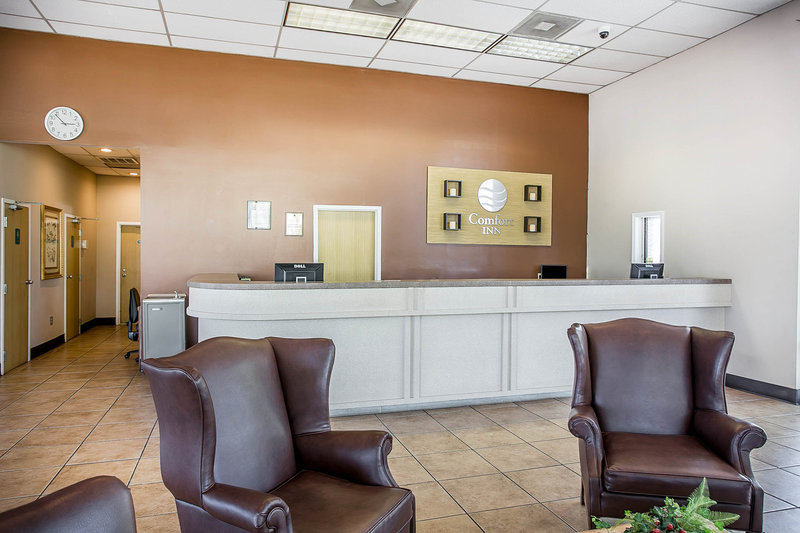 Comfort Inn - Saint George, SC