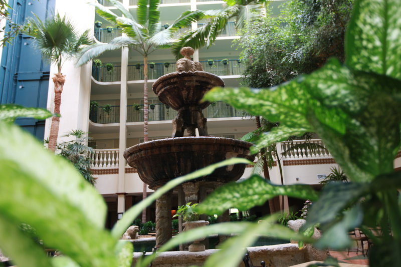 Doubletree Suites By Hilton Hotel McAllen - McAllen, TX
