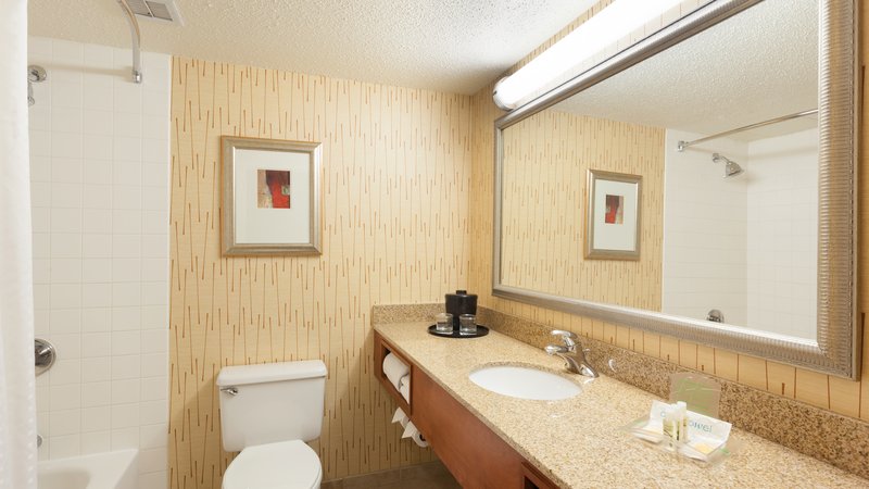 Holiday Inn CINCINNATI AIRPORT - Erlanger, KY