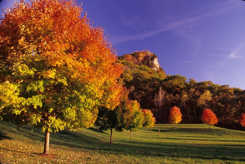 Radisson Hotel La Crosse - La Crosse, WI