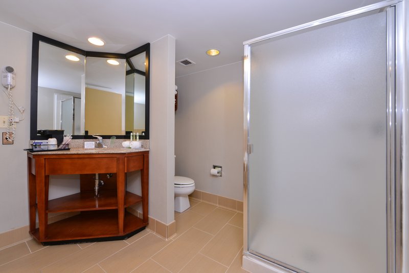 Holiday Inn Express CRESTWOOD - Midlothian, IL