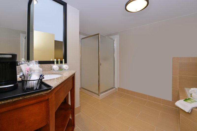 Holiday Inn Express CRESTWOOD - Midlothian, IL