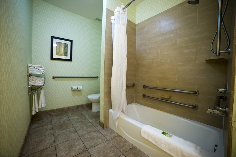 Holiday Inn Express & Suites ATLANTA EAST - LITHONIA - Dunwoody, GA