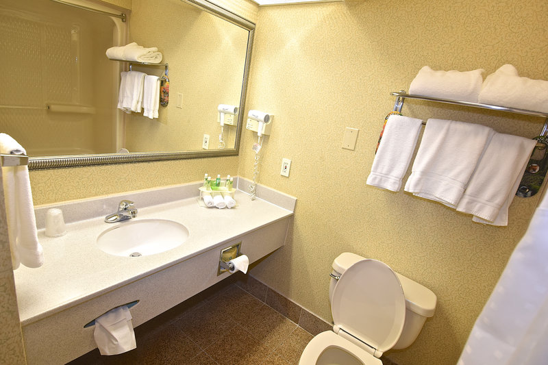 Holiday Inn Express Hotel & Suites Fenton - Fenton, MO